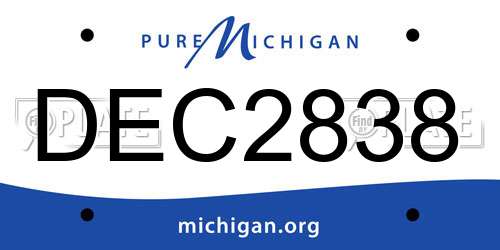 DEC2838 Michigan License Plate