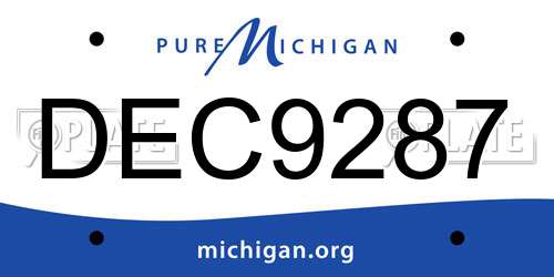 DEC9287 Michigan License Plate