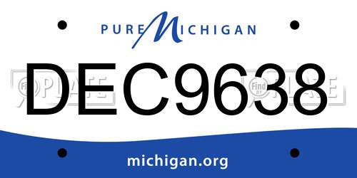 DEC9638 Michigan License Plate