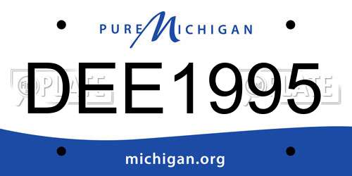 DEE1995 Michigan License Plate