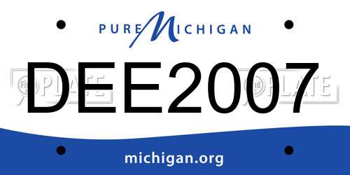 DEE2007 Michigan License Plate