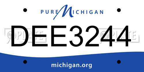 DEE3244 Michigan License Plate