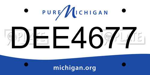 DEE4677 Michigan License Plate
