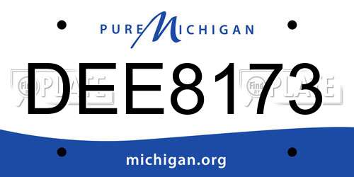 DEE8173 Michigan License Plate