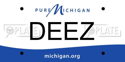 DEEZ Michigan License Plate