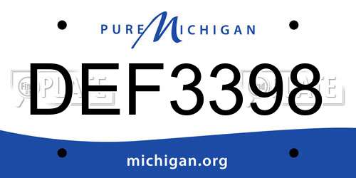 DEF3398 Michigan License Plate