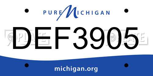 DEF3905 Michigan License Plate