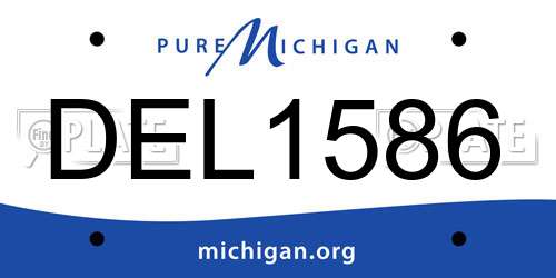 DEL1586 Michigan License Plate