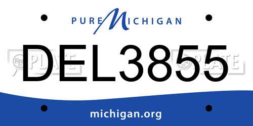 DEL3855 Michigan License Plate