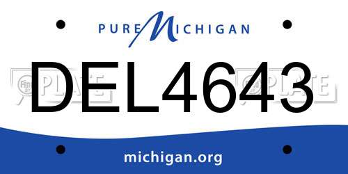 DEL4643 Michigan License Plate