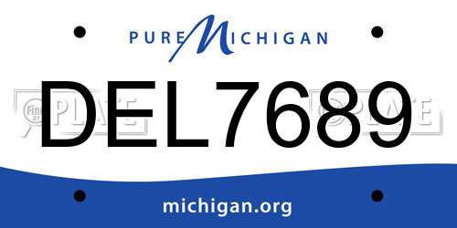 DEL7689 Michigan License Plate