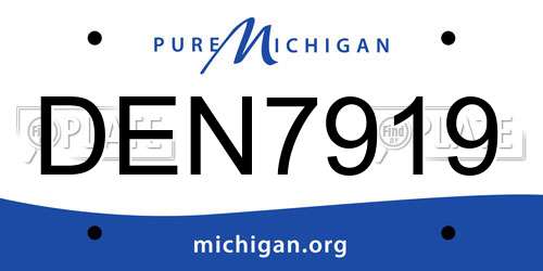 DEN7919 Michigan License Plate