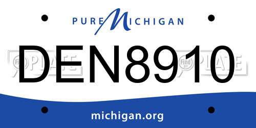 DEN8910 Michigan License Plate