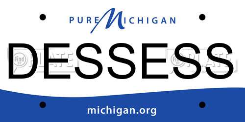 DESSESS Michigan License Plate