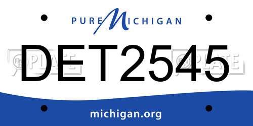 DET2545 Michigan License Plate