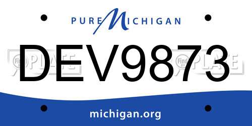 DEV9873 Michigan License Plate