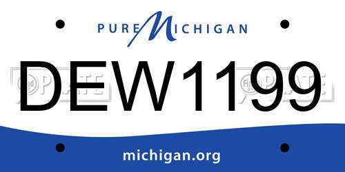DEW1199 Michigan License Plate