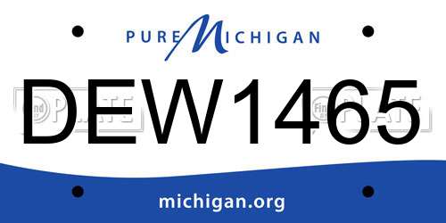 DEW1465 Michigan License Plate