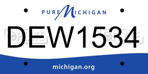 DEW1534 Michigan License Plate