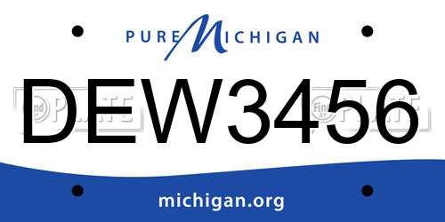 DEW3456 Michigan License Plate