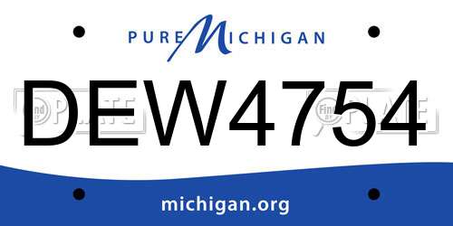 DEW4754 Michigan License Plate