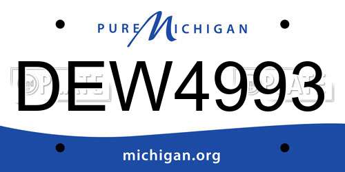 DEW4993 Michigan License Plate