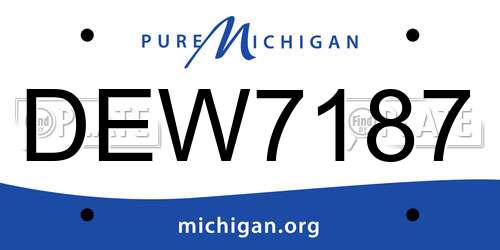 DEW7187 Michigan License Plate
