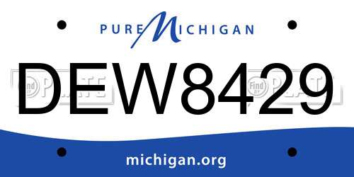 DEW8429 Michigan License Plate