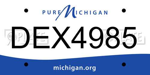 DEX4985 Michigan License Plate