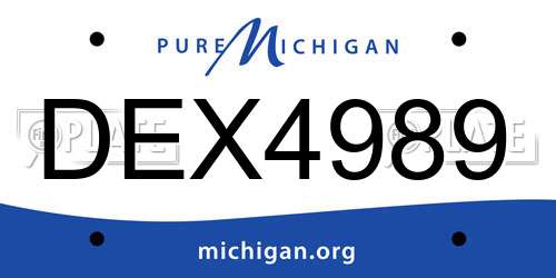 DEX4989 Michigan License Plate