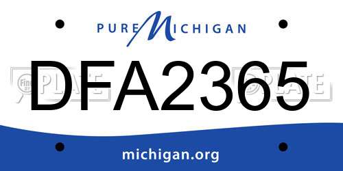 DFA2365 Michigan License Plate
