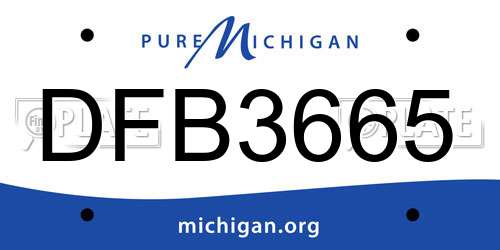 DFB3665 Michigan License Plate