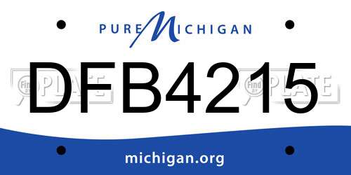 DFB4215 Michigan License Plate