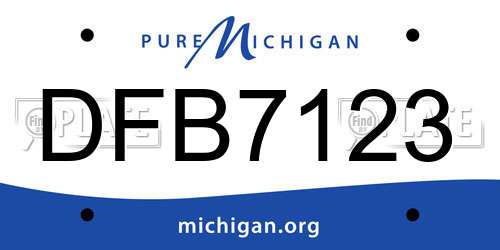 DFB7123 Michigan License Plate