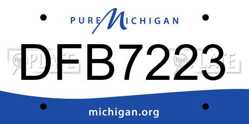 DFB7223 Michigan License Plate