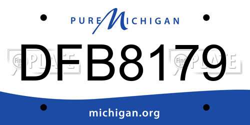 DFB8179 Michigan License Plate