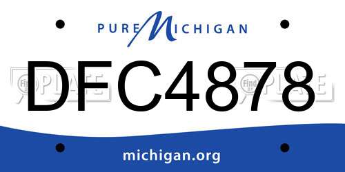 DFC4878 Michigan License Plate