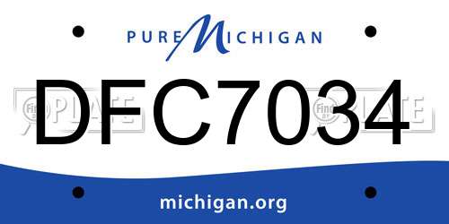 DFC7034 Michigan License Plate