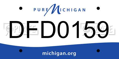 DFD0159 Michigan License Plate