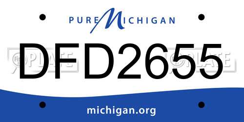 DFD2655 Michigan License Plate