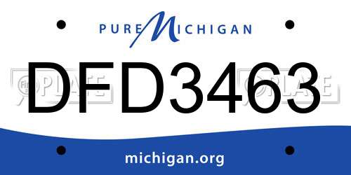 DFD3463 Michigan License Plate