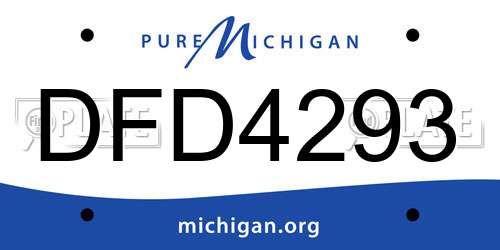 DFD4293 Michigan License Plate