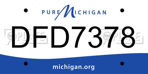 DFD7378 Michigan License Plate