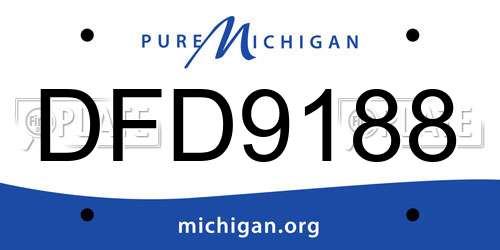 DFD9188 Michigan License Plate