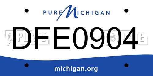 DFE0904 Michigan License Plate