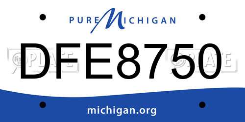 DFE8750 Michigan License Plate