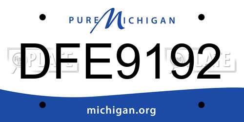 DFE9192 Michigan License Plate