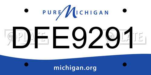 DFE9291 Michigan License Plate