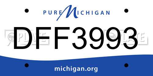 DFF3993 Michigan License Plate