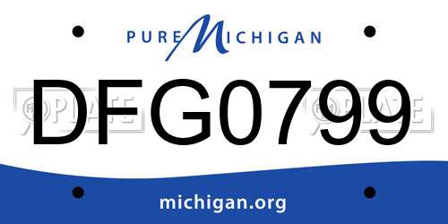 DFG0799 Michigan License Plate